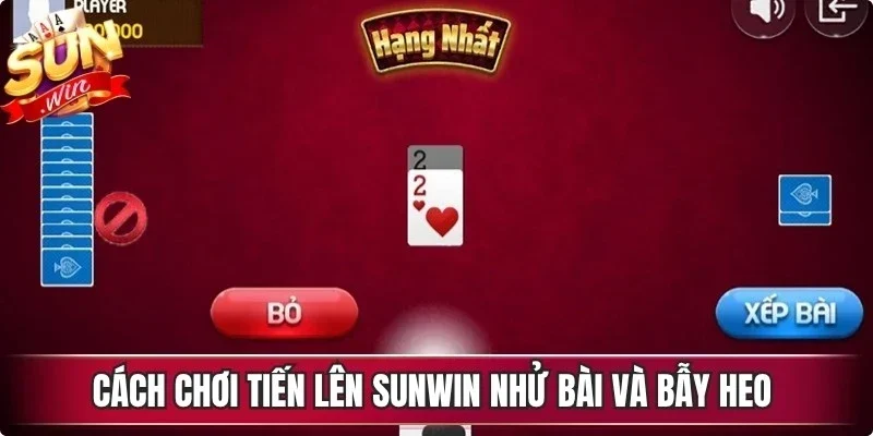 Cách chơi tiến lên Sunwin nhử bài và bẫy heo mang đến hiệu quả cao