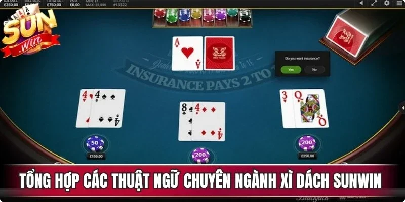 Tổng hợp các thuật ngữ chuyên ngành xì dách Sunwin quan trọng 